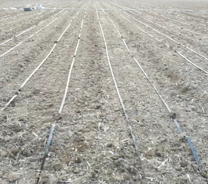 圖片 10.png 圖片 10.png