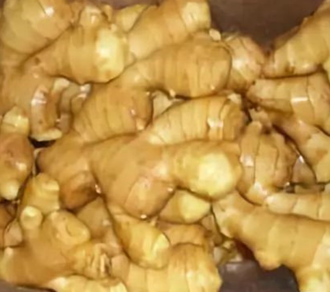 圖片 3.png 圖片 3.png