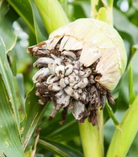 8b6dd039fe9f8a449958e6fd7b5c98e.jpg 8b6dd039fe9f8a449958e6fd7b5c98e.jpg