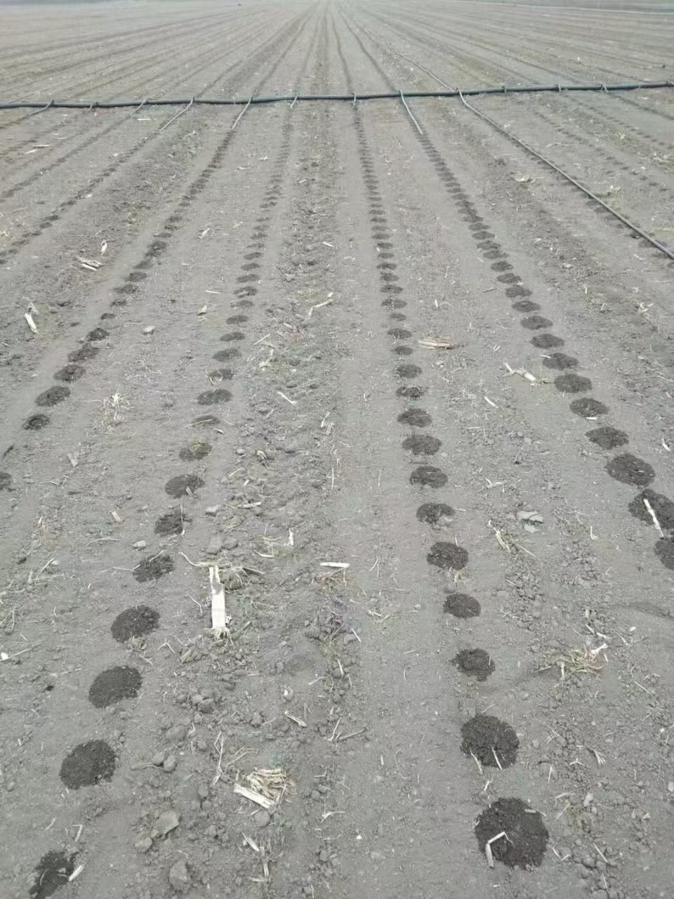 圖片1.png 圖片1.png