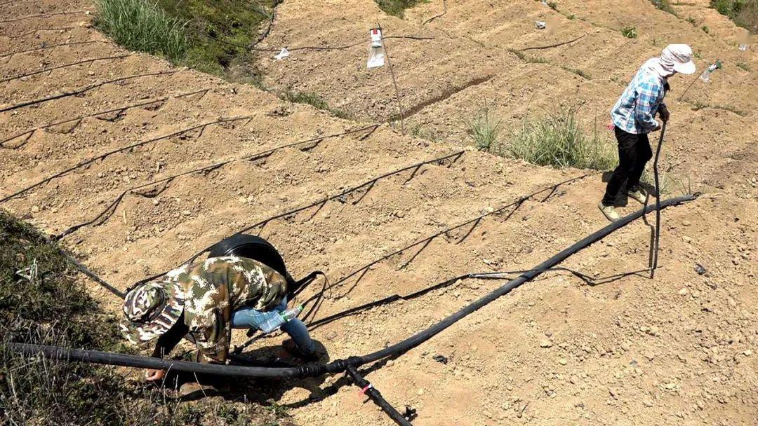 圖片3.png 圖片3.png