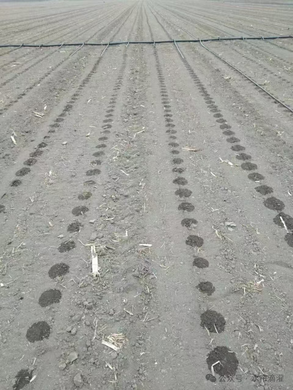 6c3270f7bebcd93887f54ce3344d0243_640_wx_fmt=png&from=appmsg.png 6c3270f7bebcd93887f54ce3344d0243_640_wx_fmt=png&from=appmsg.png