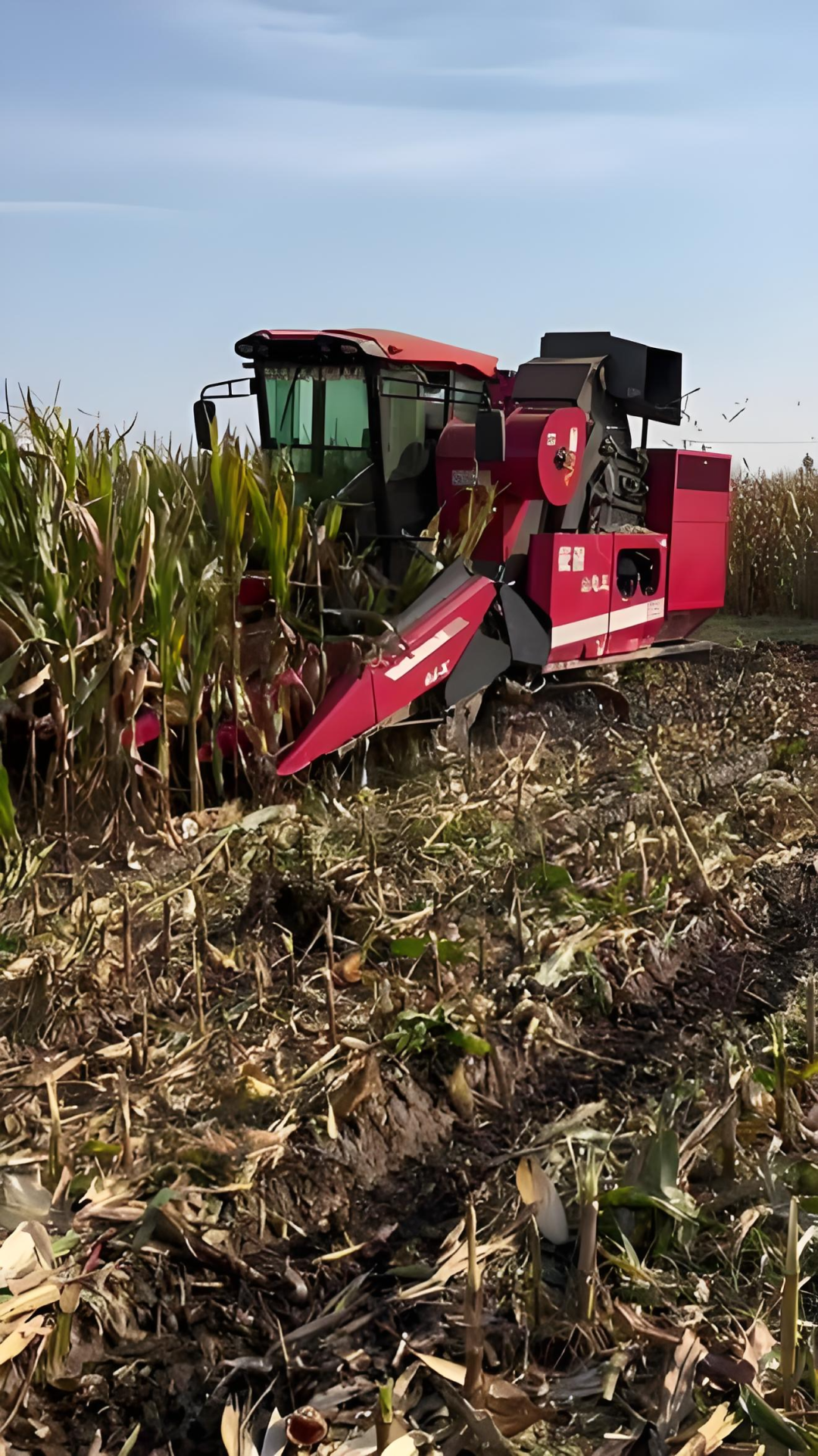 30bc56b2fe19416a9c909414daa142cf_f553db0a5d1c6b157c1ff195aed0e449.png 30bc56b2fe19416a9c909414daa142cf_f553db0a5d1c6b157c1ff195aed0e449.png